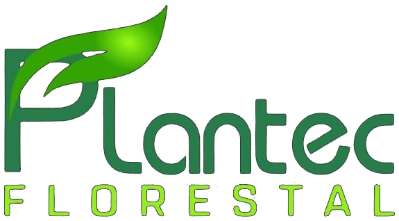 Logo Plantec Florestal